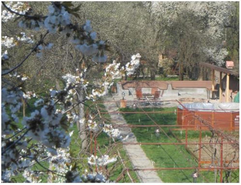 Pensiunea Pentru Tine Prietene Arcani Quarto foto